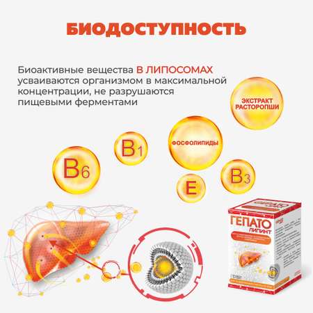 БАД VECTOR-MEDICA Гепатолипинт Для защиты печени, капсулы 209 мг №60