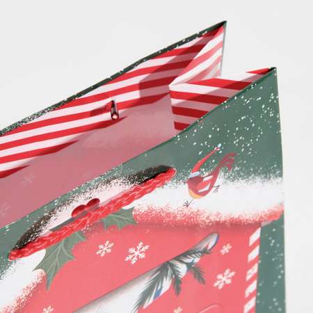 Пакет Sima-Land ламинированный вертикальный «Новогодняя почта». MS 18×23×8 см