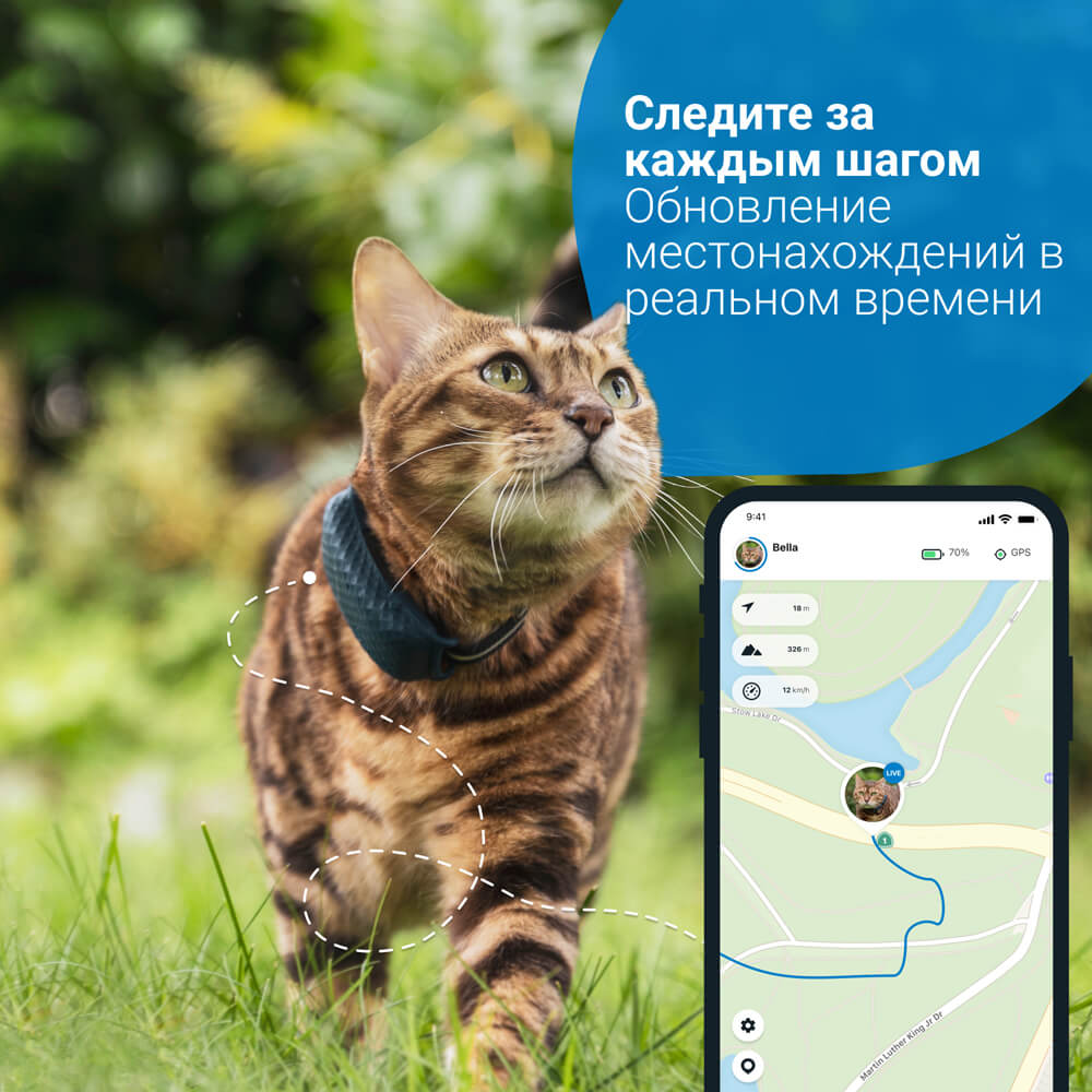 Трекер для кошек Tractive GPS Cat 4 LTE купить по цене 6999 ₽ с доставкой в  Москве и России, отзывы, фото