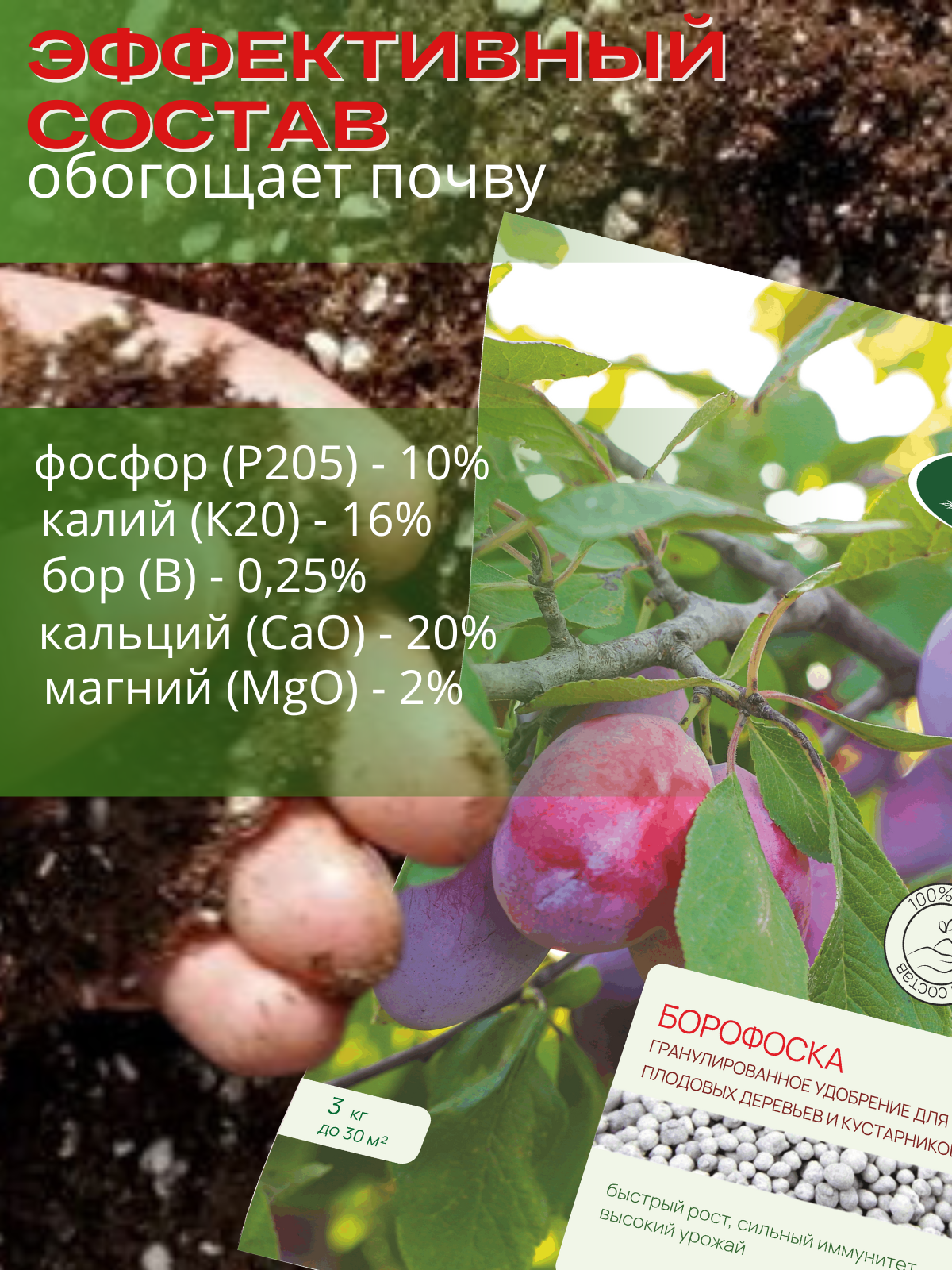 Удобрение осеннее Сельхозтрест Борофоска 3 кг - фото 5