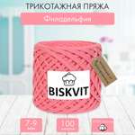 Трикотажная пряжа BISKVIT Филадельфия