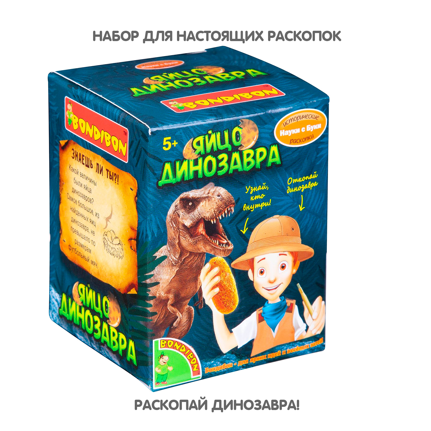 Набор археолога BONDIBON Науки с Буки Яйцо динозавра купить по цене 431 ₽ в  интернет-магазине Детский мир