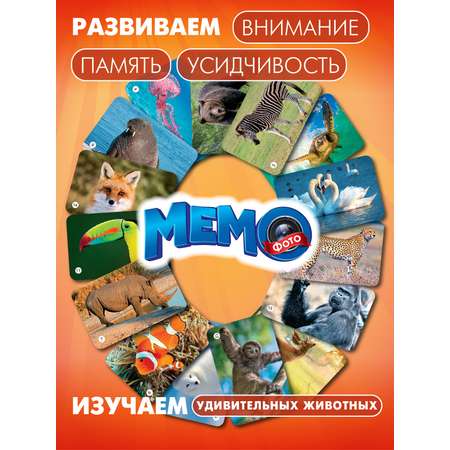 Настольная игра Русский стиль Мемо Удивительные животные