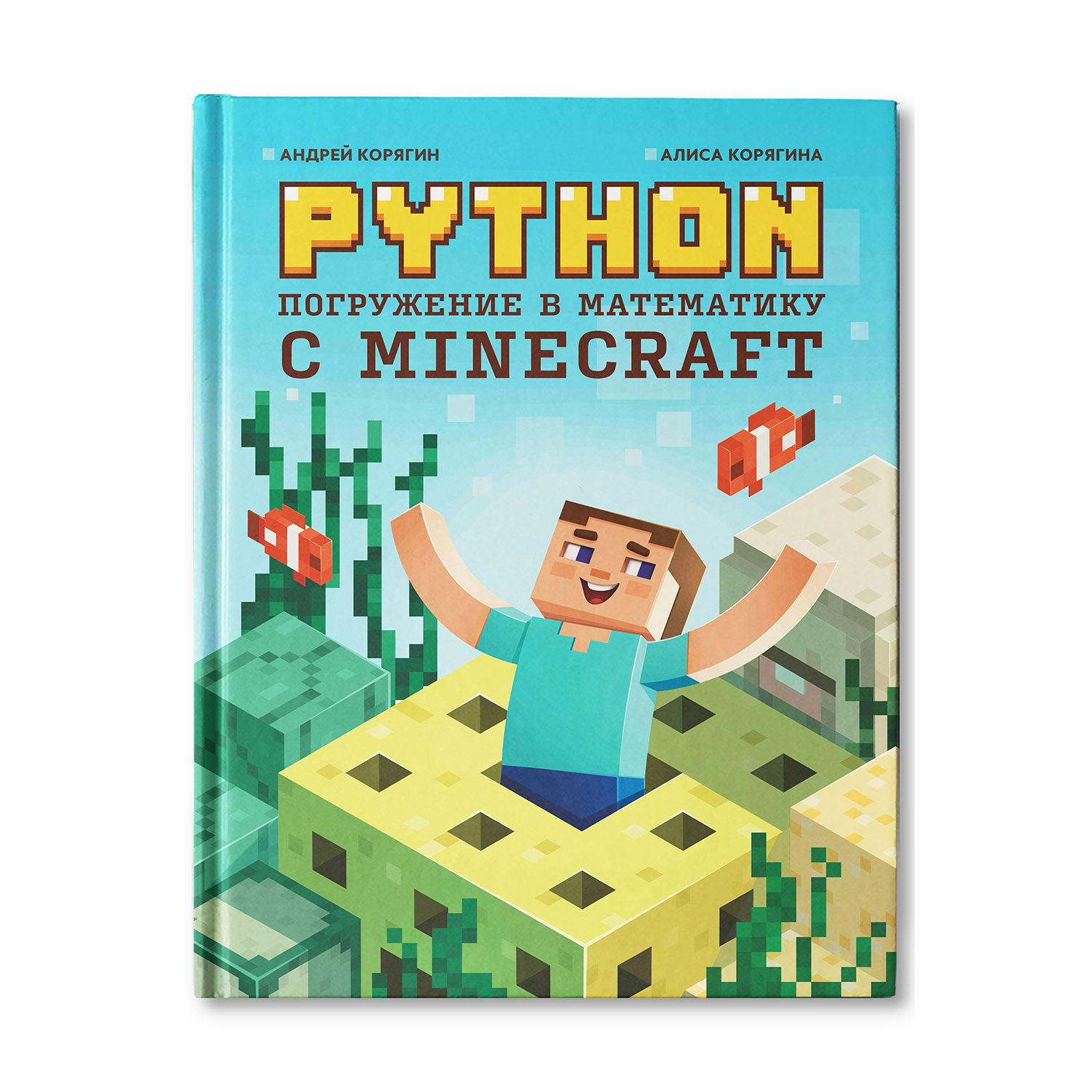 Python. Погружение в математику с Minecraft