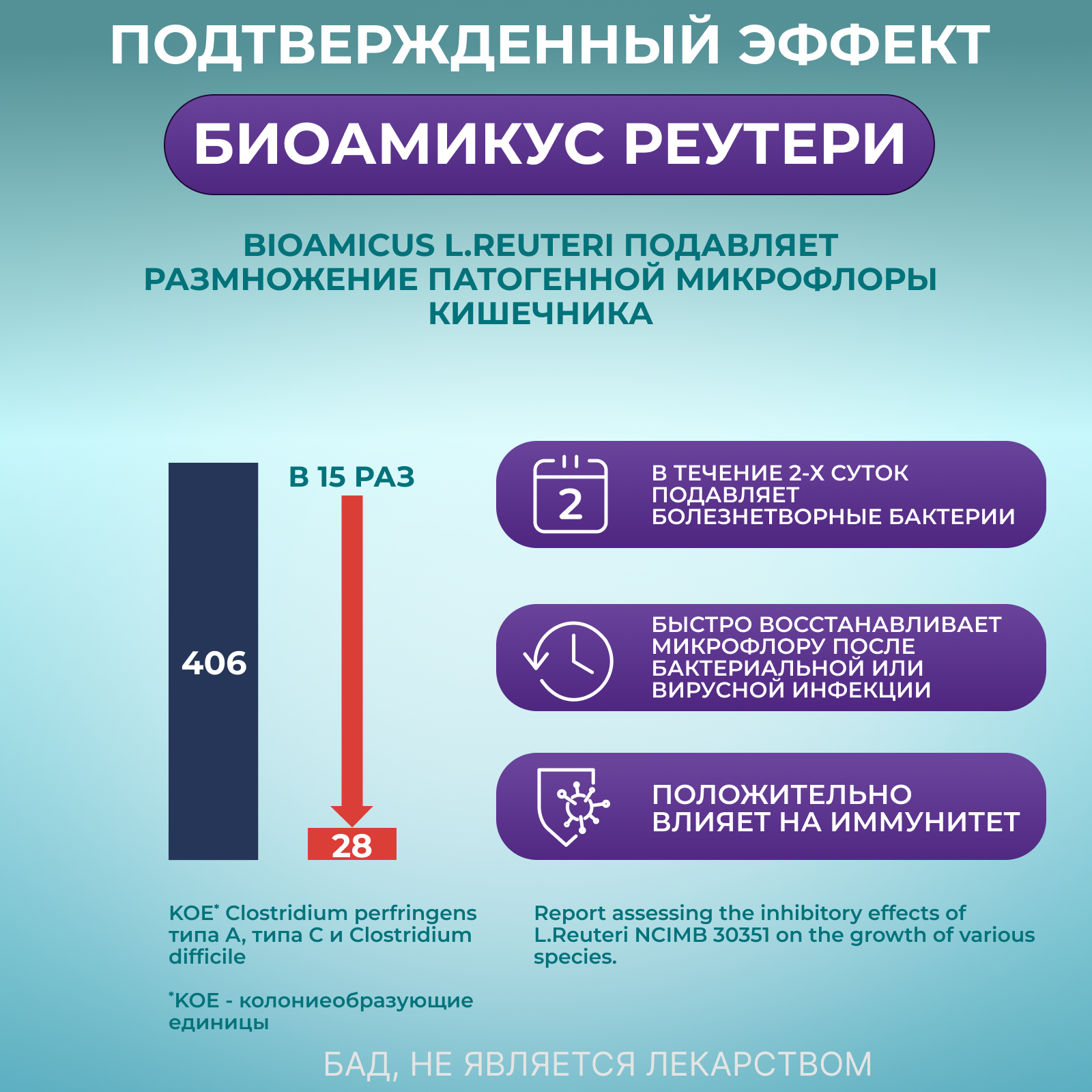 Пробиотик Лакто с витамином Д3 BioAmicus в каплях с рождения 10 мл - фото 2