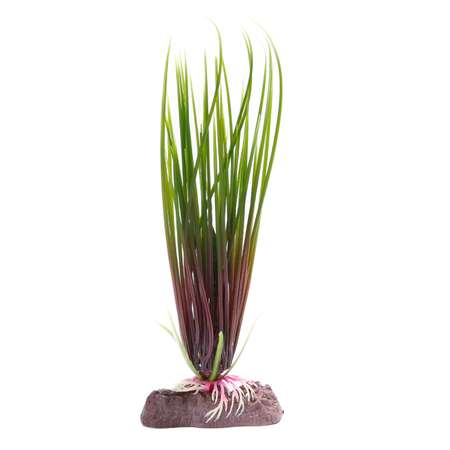 Растение PennPlax Hairgrass с грузом 18см Зеленое P16SH