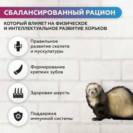 Сухой корм Ночной охотник Сухой корм для хорьков