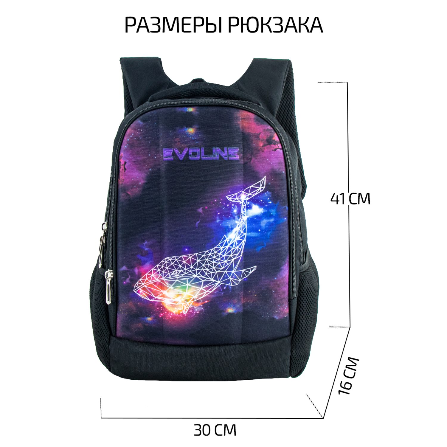 Рюкзак школьный Evoline Черный Акула EVO-DP-whale-41 - фото 2