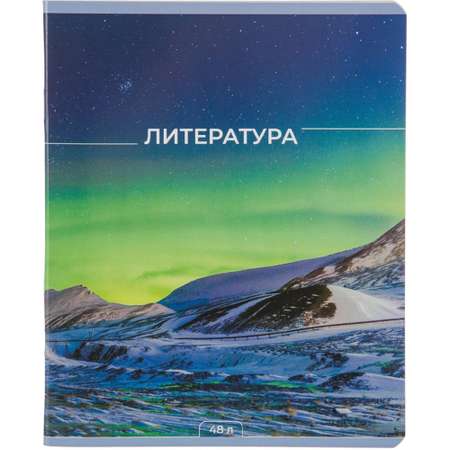 Тетрадь №1 School 48 лист. 5 шт. (Литература)