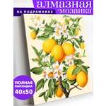 Алмазная мозаика Art on Canvas холст на подрамнике 40х50 см Лимоны