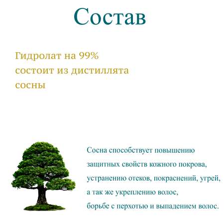 Гидролат Сосны Cetraria органический тоник для кожи и волос (100 мл)