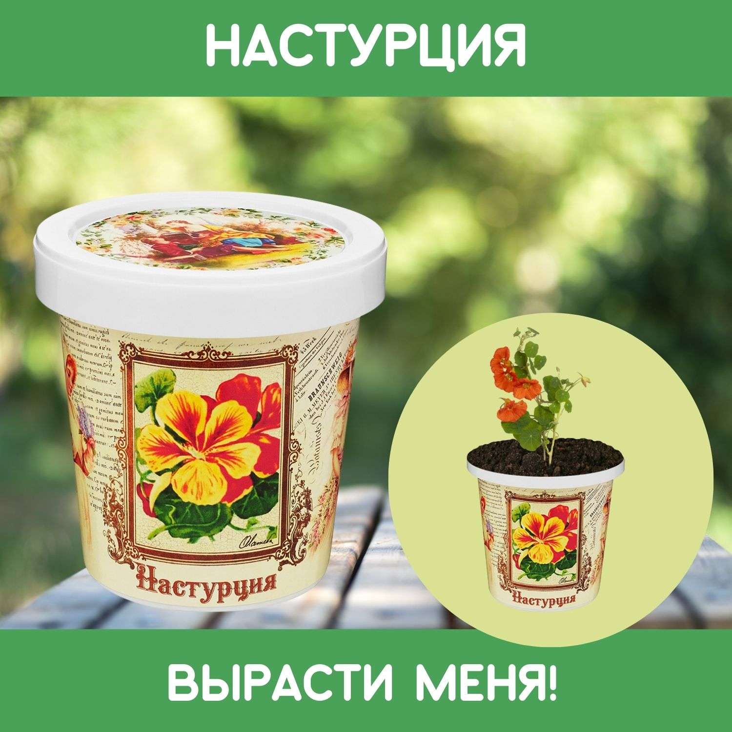 Набор для выращивания растений Rostok Visa Вырасти сам цветок Настурция в подарочном горшке - фото 1