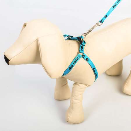 Комплект для собаки Пушистое счастье «Дай пять» шлейка 28-47см поводок 120 см
