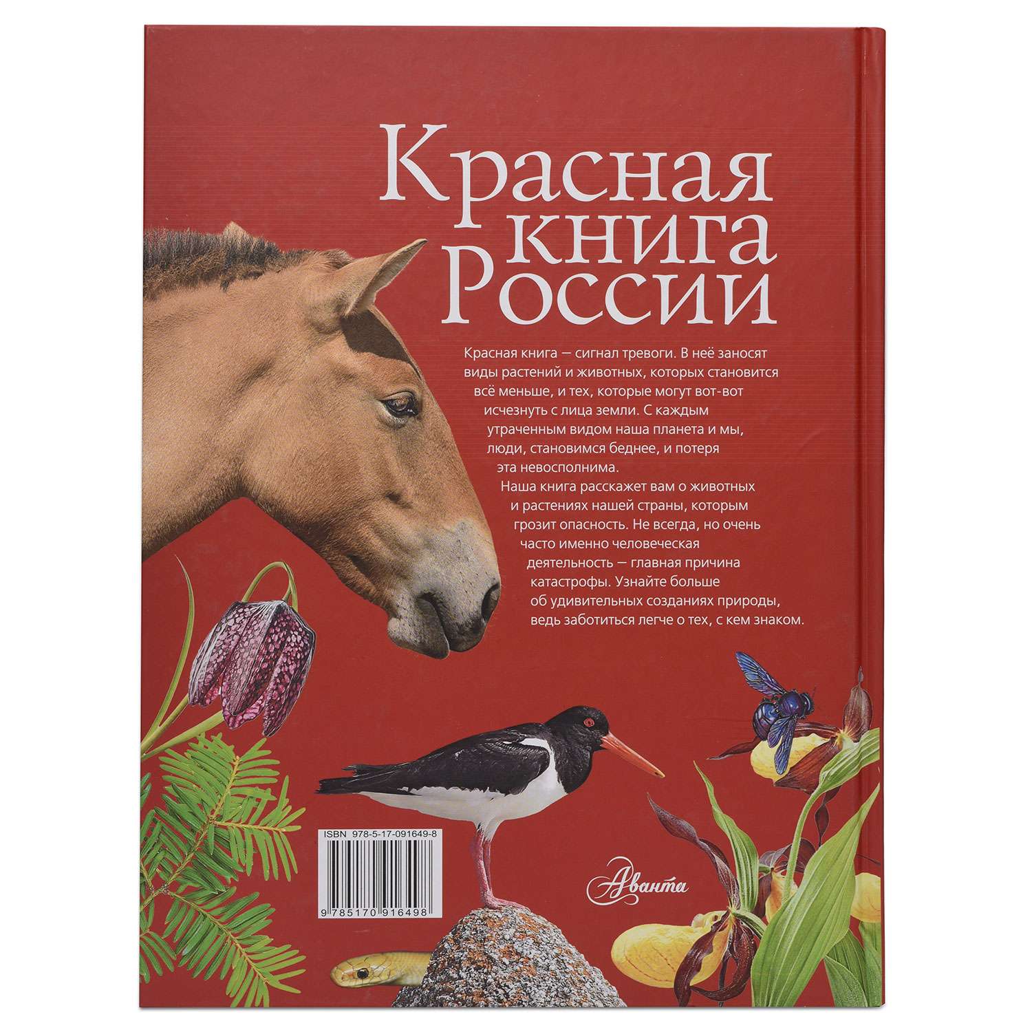 Красная книга АСТ России - фото 5