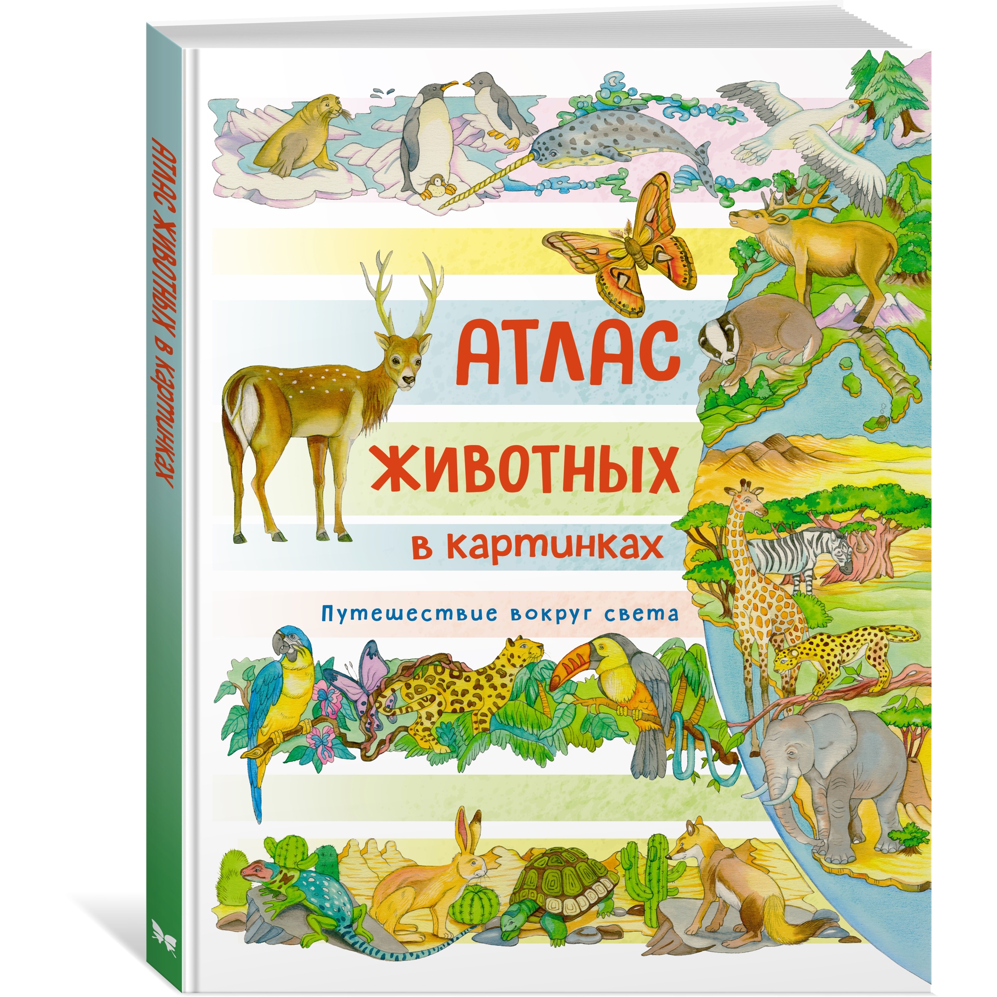 Книга Махаон Атлас животных в картинках. Путешествие вокруг света Барсотти Э. Энциклопедии - фото 2