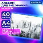 Альбом для рисования Brauberg в школу А4 40 плотных листов 160 г м2