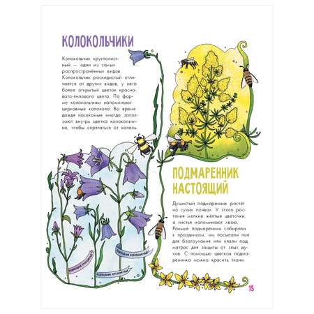 Энциклопедия АСТ Цветы и растения
