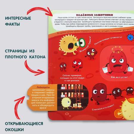 Книга с окошками Malamalama Энциклопедия для детей Почему мы болеем? Иммунитет