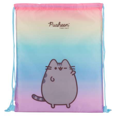 Мешок для обуви Pusheen PUIB-UT2-883