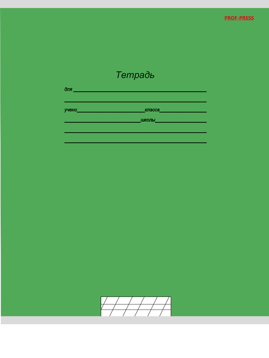 Тетрадь школьная Prof-Press 12 листов косая линия Учусь на Отлично спайка 10 штук - фото 3