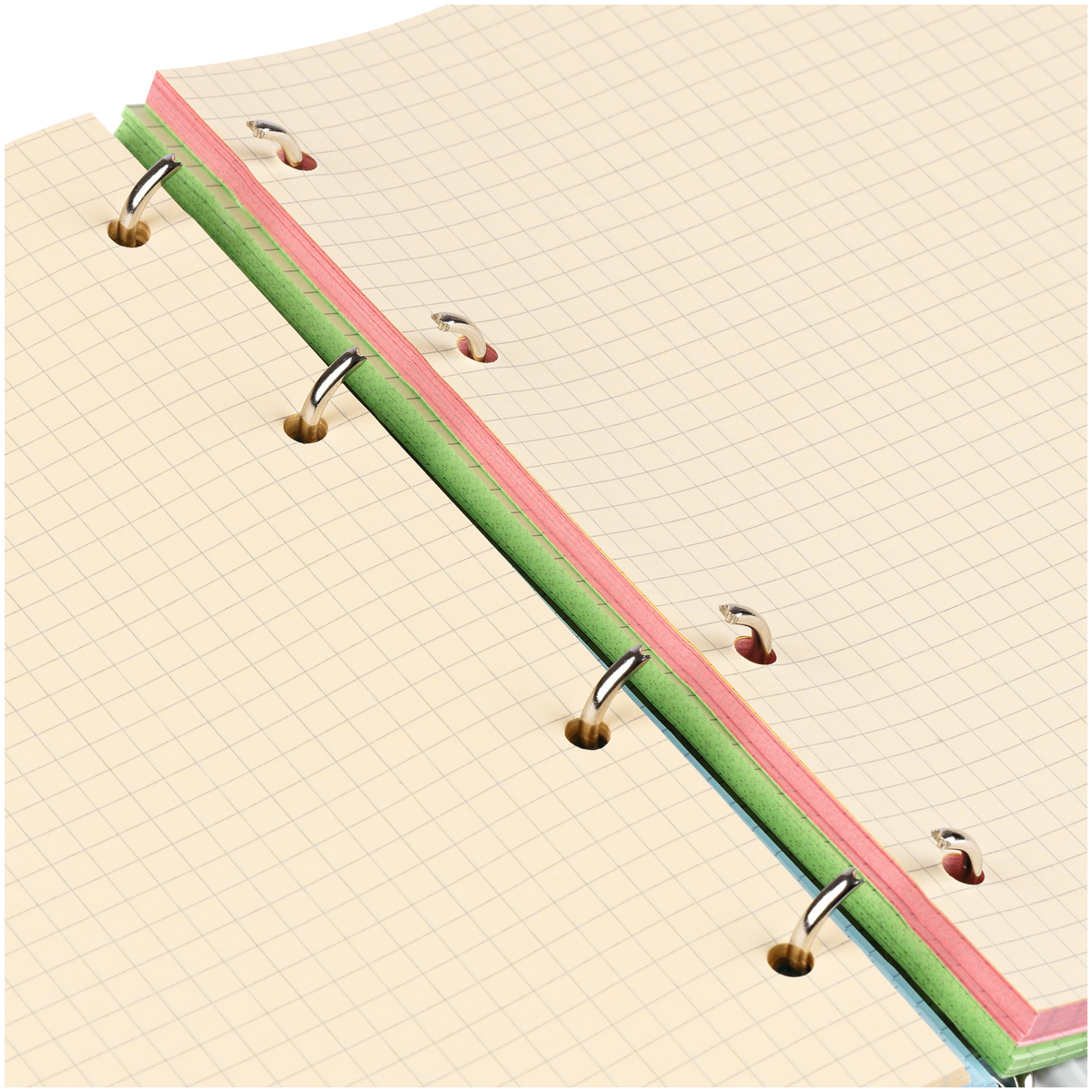 Тетрадь на кольцах А5 BG 200 листов Очень занят 4 цвета блок - фото 7