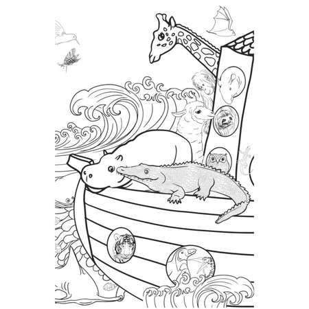 Раскраска Эксмо Удивительные животные Мини раскраска антистресс для творчества и вдохновения ленивец