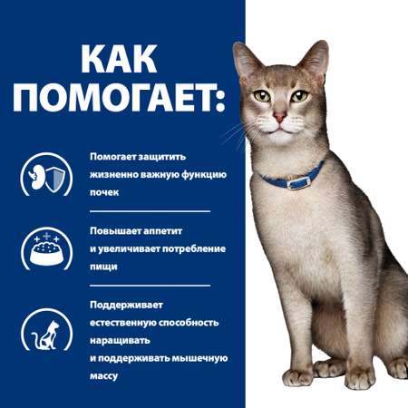 Корм для кошек HILLS 85г Prescription Diet k/d Kidney Care для здоровья почек с лососем пауч