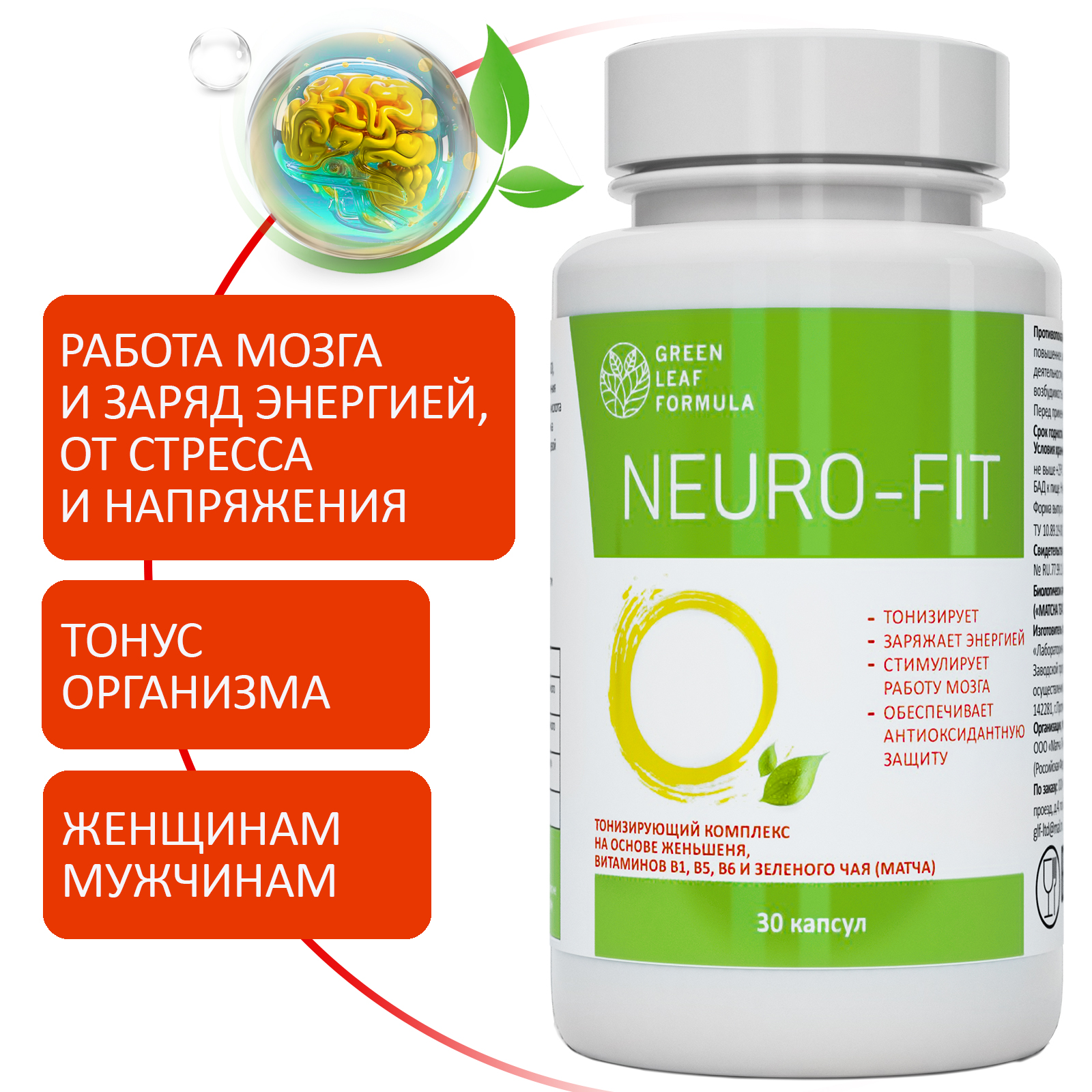 Neuro-Fit витамины для мозга Green Leaf Formula для нервной системы памяти  30 капсул купить по цене 748 ₽ в интернет-магазине Детский мир