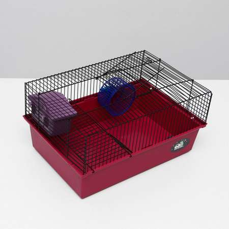 Клетка для грызунов Пижон с этажом укомплектованная 37х26х18 см рубиновая