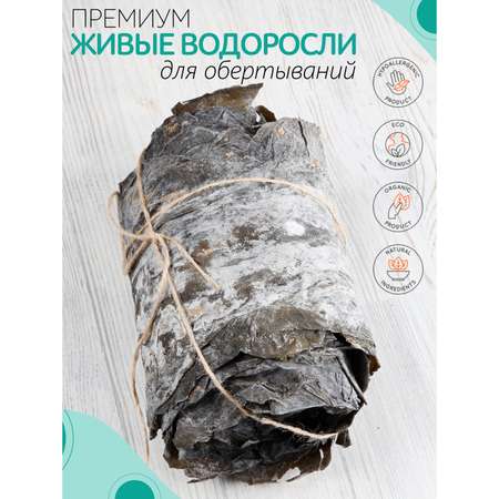 Ламинария для обертывания Dream Organic 500 г в комплекте с простыней