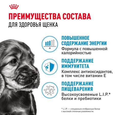 Корм для собак ROYAL CANIN 0.085 кг мясо (для активных)