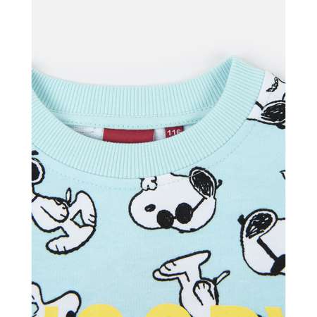 Свитшот Snoopy
