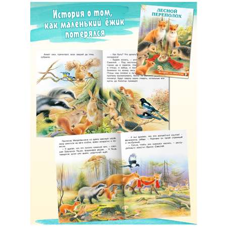 Детская книга Фламинго Сказки для малышей добрые поучительные истории Лесной переполох