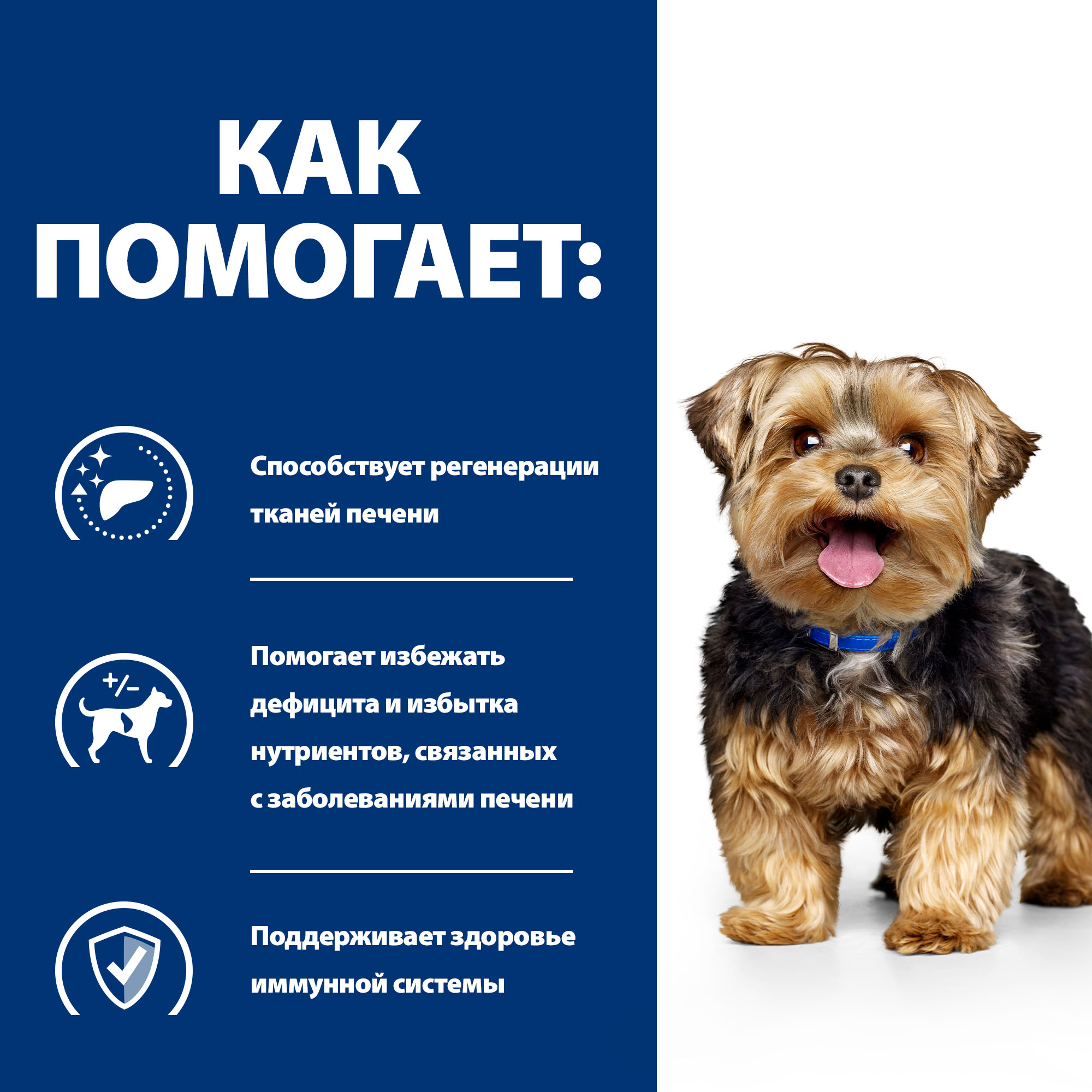 Корм для собак Hills 1.5кг Prescription Diet l/d диетический при заболеваниях печени - фото 4