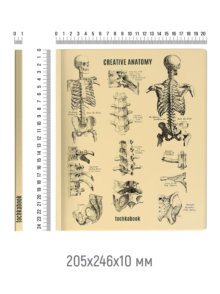 Блокнот Проф-Пресс Точкабук Large А4 72 листа Анатомия - фото 3