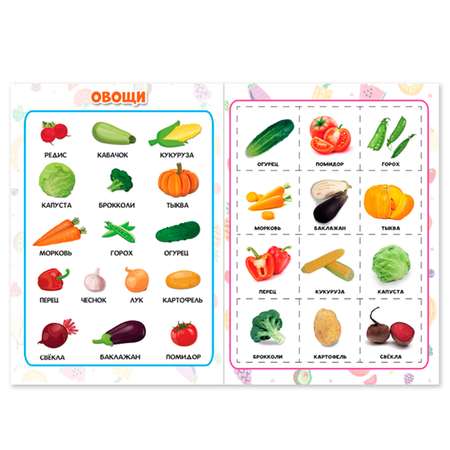 Набор брошюр Проф-Пресс Разрезные элементы. Цвета и фигуры+Овощи фрукты и ягоды