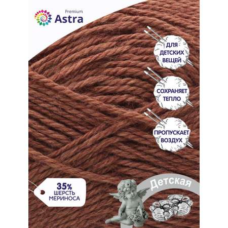 Пряжа для вязания Astra Premium детская из акрила и шерсти для детских вещей 90 гр 270 м 233 кофе 3 мотка