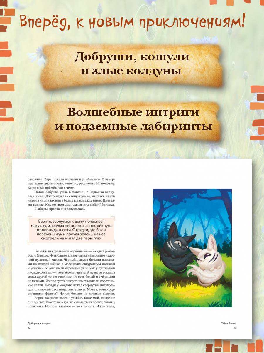 Книга Комсомольская правда Добруши и Кошули. Тайна башни - фото 4