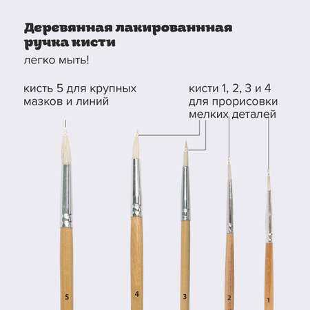 Кисти для акварели Пифагор и гуаши для рисования из ворса козы круглые набор 5 штук