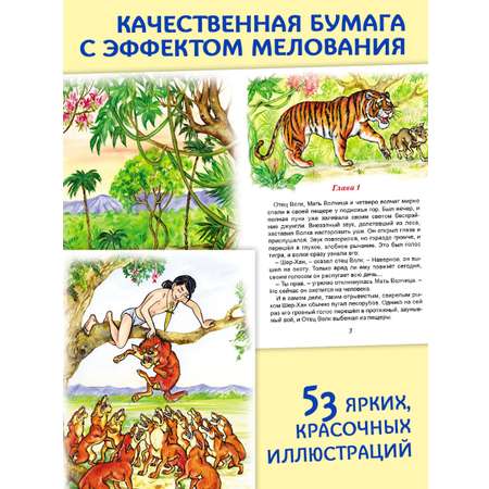 Книга Алтей Маугли