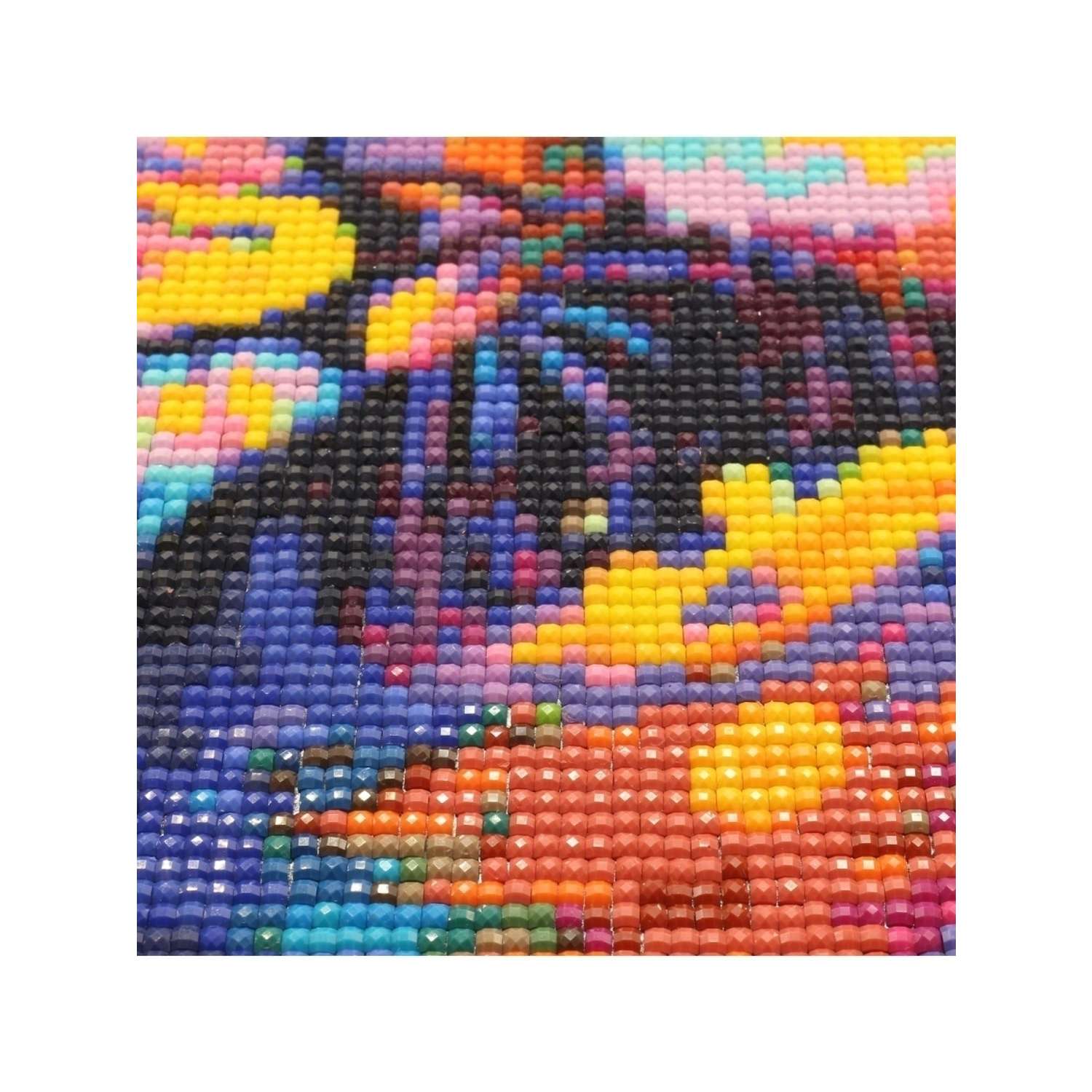 Алмазная мозаика Cristyle картина стразами Радужные львы 50х40 см Cr 540060 - фото 2