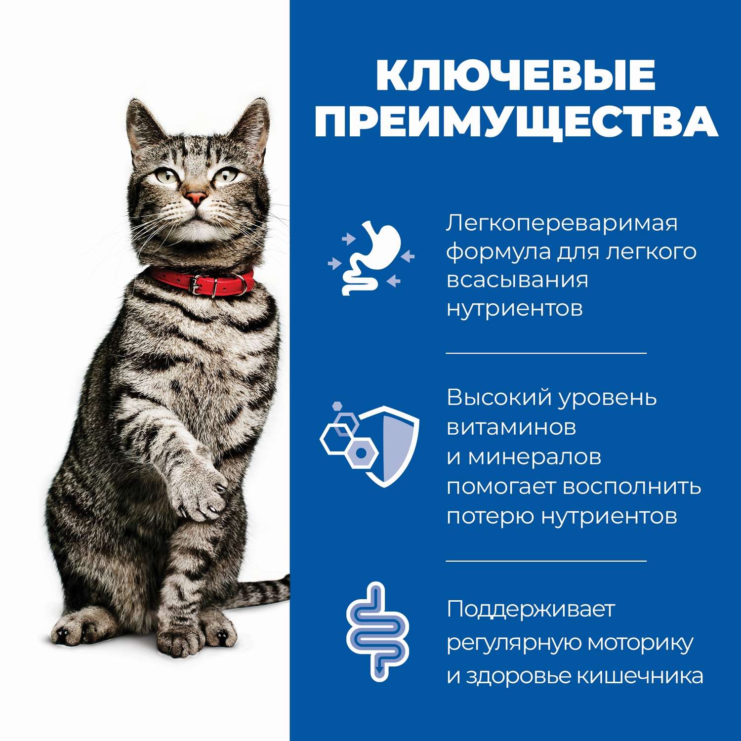 Корм для кошек Hills 1.5кг Prescription digestive при расстройствах пищеварения ЖКТ с курицей - фото 4