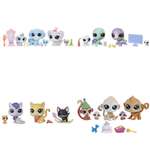 Набор Littlest Pet Shop семья петов в ассортименте