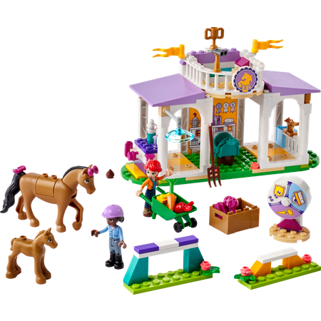 Конструктор LEGO Friends Horse Training 41746