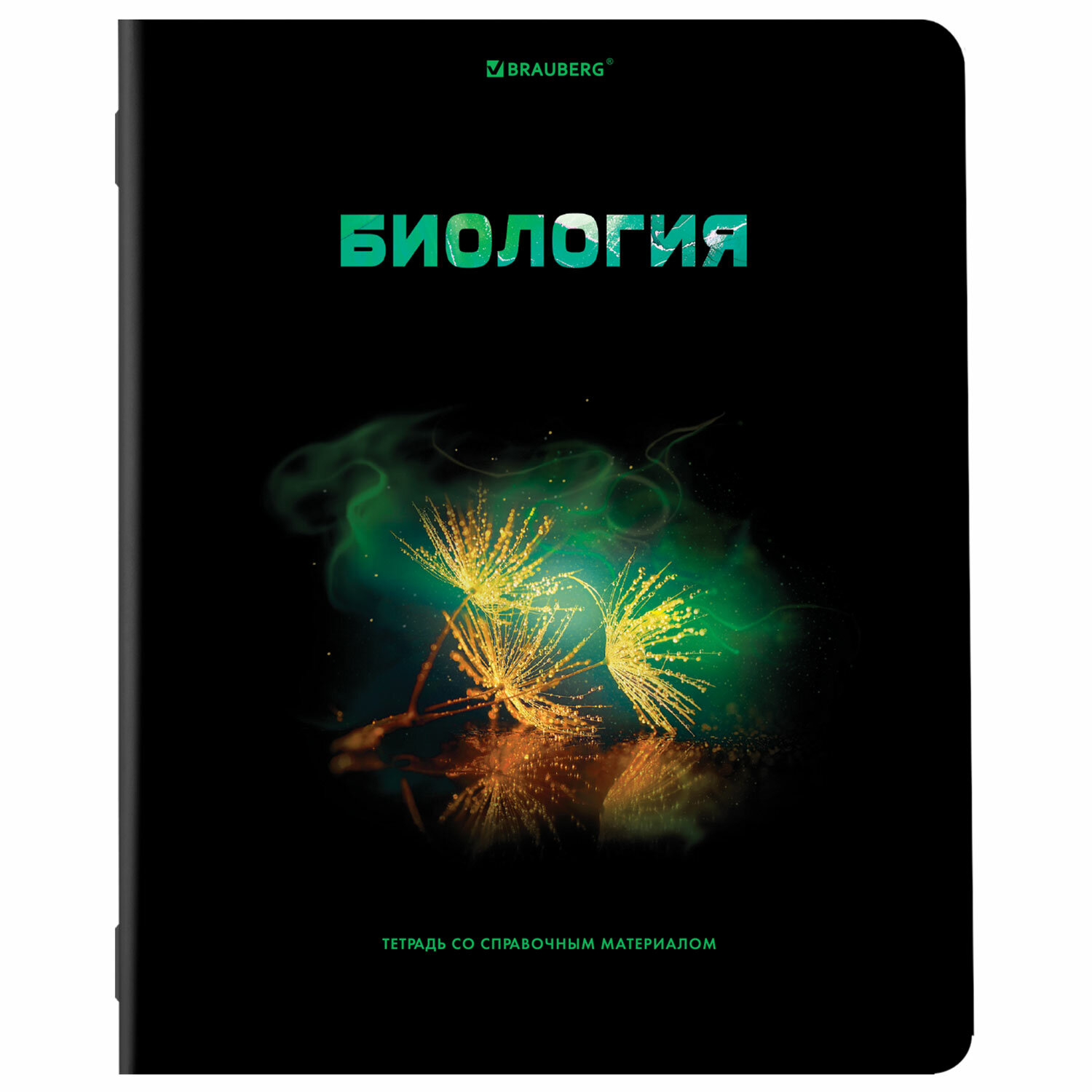 Тетради Brauberg школьные со справочным материалом в клетку/линейку 12 предметов 48 л Shade - фото 16