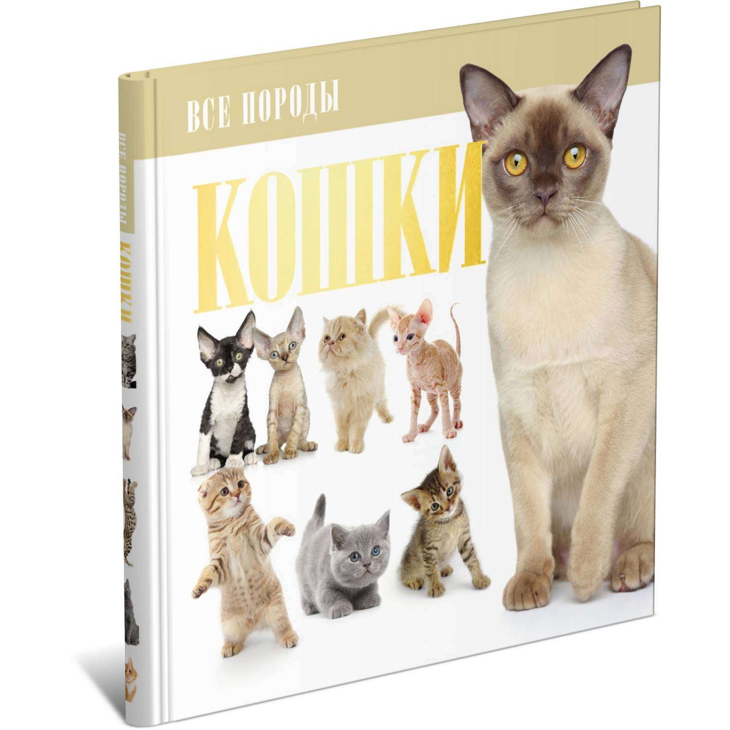 Книга Харвест Кошки: Все породы. Иллюстрированная энциклопедия про кошек домашних - фото 1
