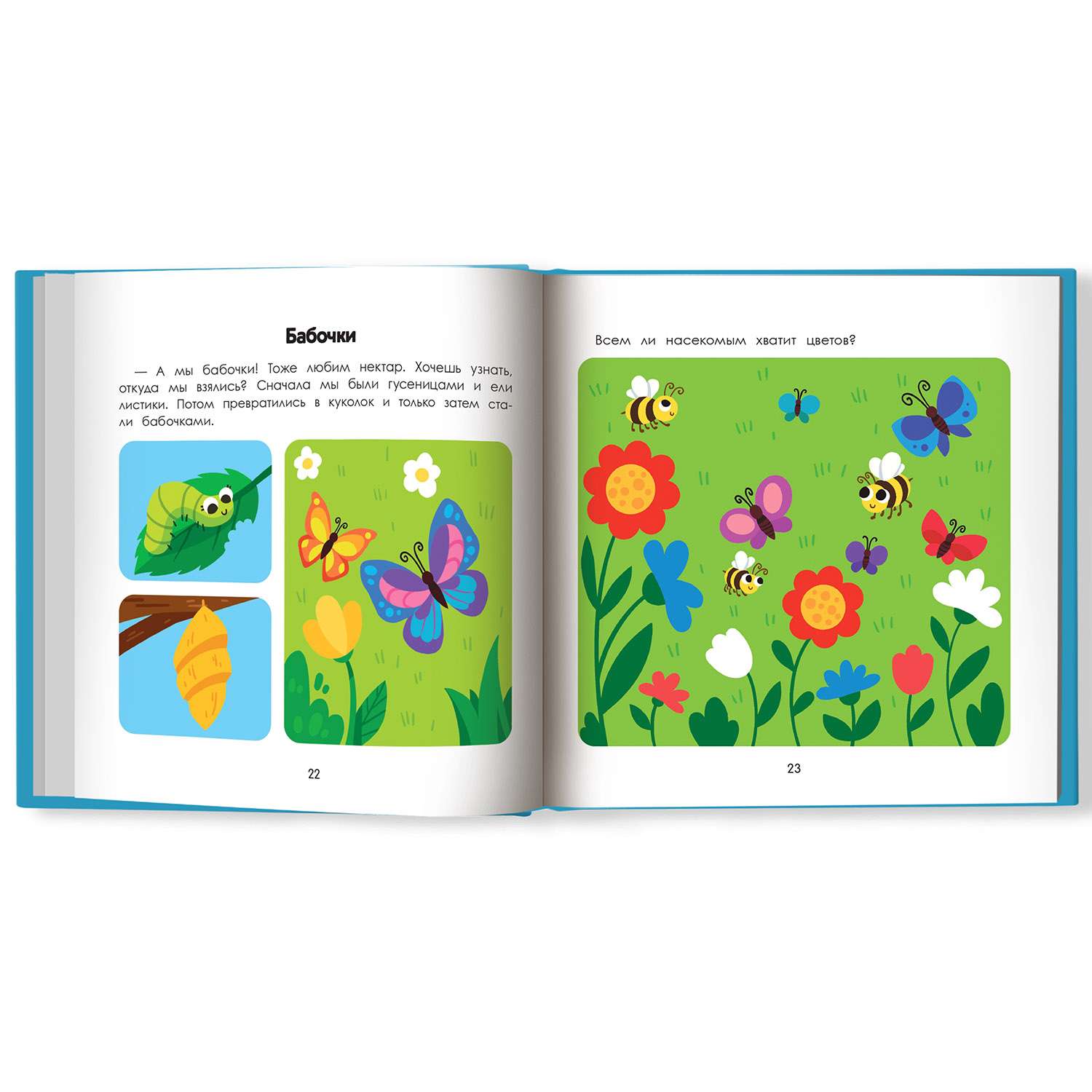 Книга Феникс Премьер Лес. Энциклопедия для малышей в картинках - фото 10