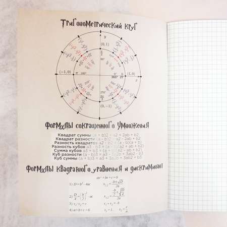 Тетрадь предметная по алгебре Пешта Гарри Поттер - Защита от темных искусств 48 листов А5 в клетку