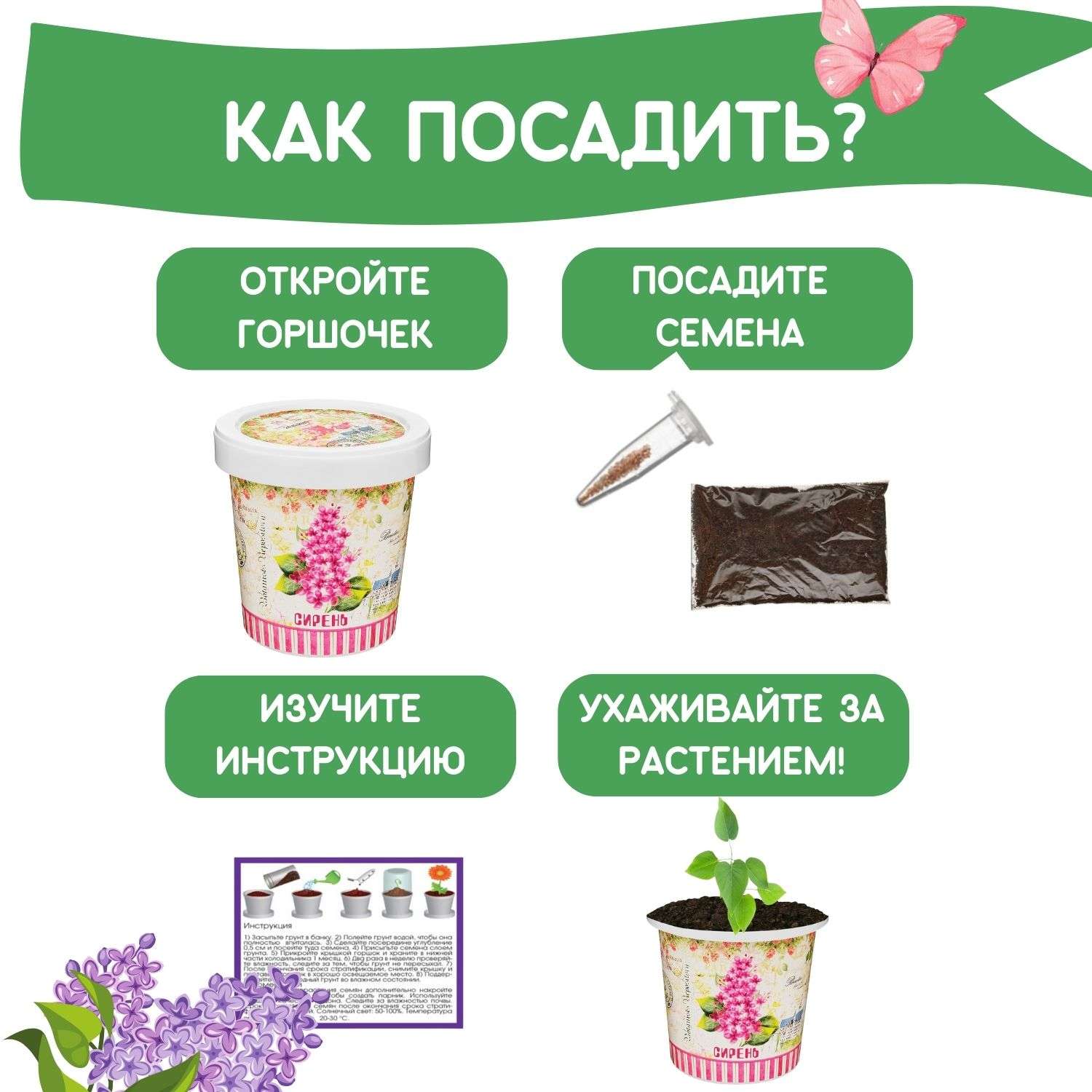 Набор для выращивания растений Rostok Visa Вырасти сам Сирень Венгерскую в подарочном горшке - фото 4