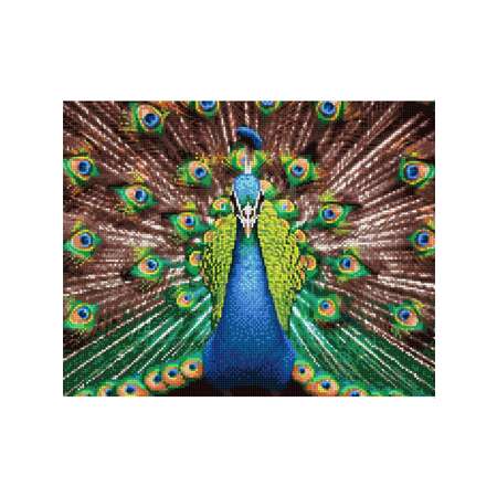 Алмазная мозаика Art sensation холст на подрамнике 40х50 см Павлин